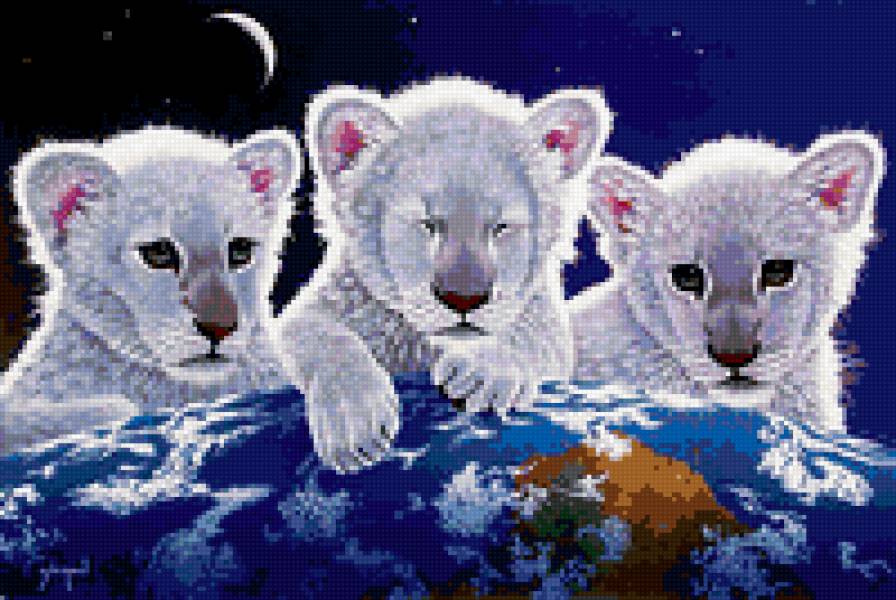 белые львята - кошки, львята - предпросмотр