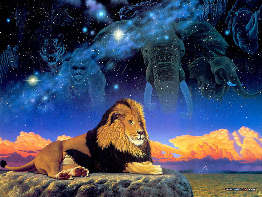 царь зверей - лев, животные - оригинал