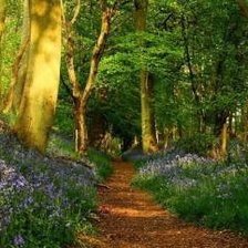 Схема вышивки «№417244»