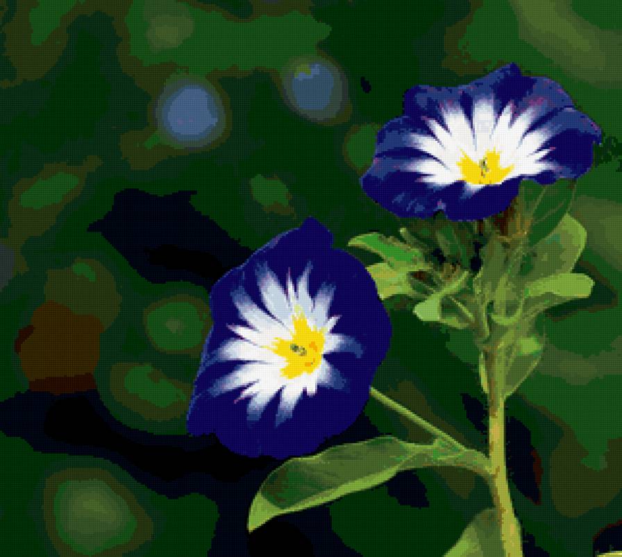 №417259 - цветы - предпросмотр