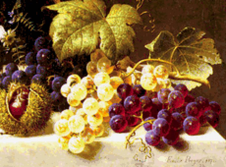 Спелый виноград - солнце, лето, натюрморт, виноград - предпросмотр