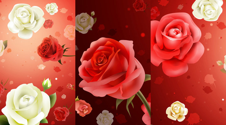 розы - цветы, красные розы, триптих - оригинал