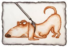 упрямая такса - домашние животные, такса, собака, упрямый - оригинал