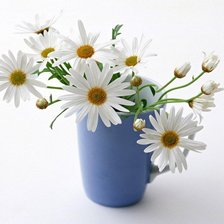 Схема вышивки «ромашки»