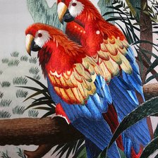 Оригинал схемы вышивки «попугаи» (№417628)