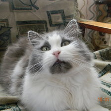 Схема вышивки «Зямынька»