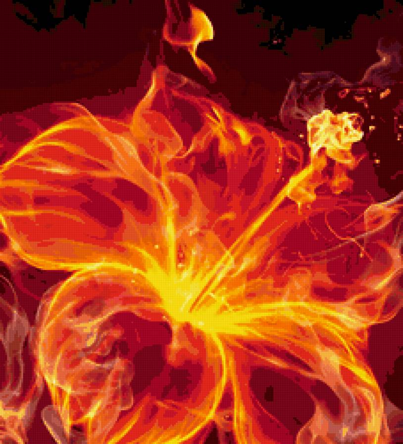 Огненный цветок - огонь, цветы - предпросмотр