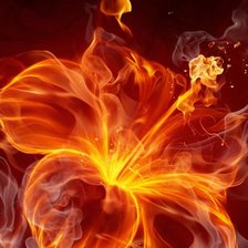 Огненный цветок