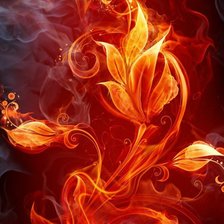 Огненный цветок