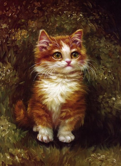 Котик в траве - кот, котенок - оригинал