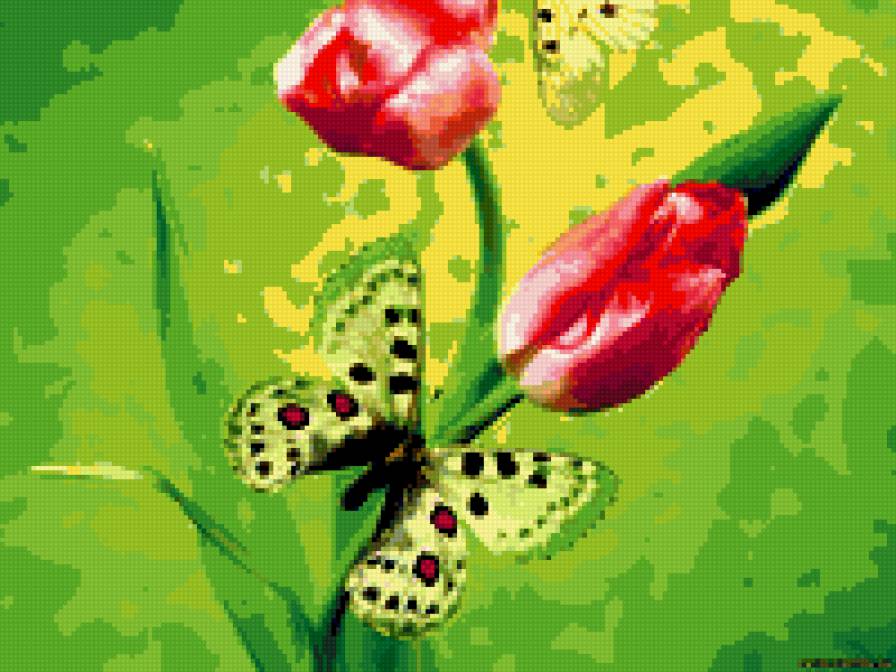 №  16 - цветы - предпросмотр