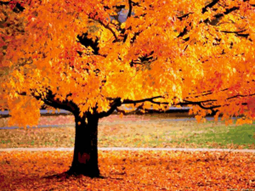 Осенний лес - пейзаж, осень, лес - предпросмотр