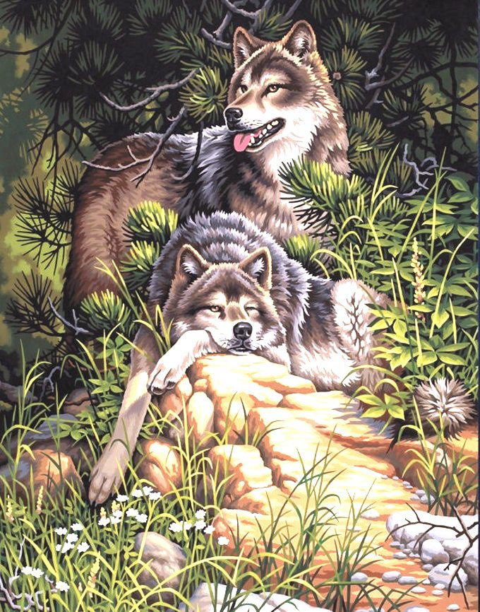 На лесной опушке - животные, ромашки, волк, цветы, волки, хищники, звери, лес - оригинал