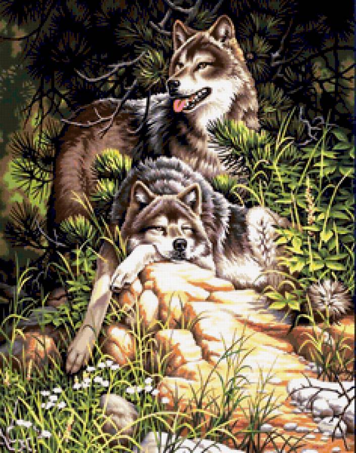 На лесной опушке - волк, хищники, цветы, животные, звери, ромашки, волки, лес - предпросмотр