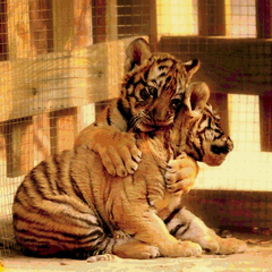 Мило - предпросмотр