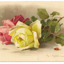 Оригинал схемы вышивки «Две розы» (№418392)