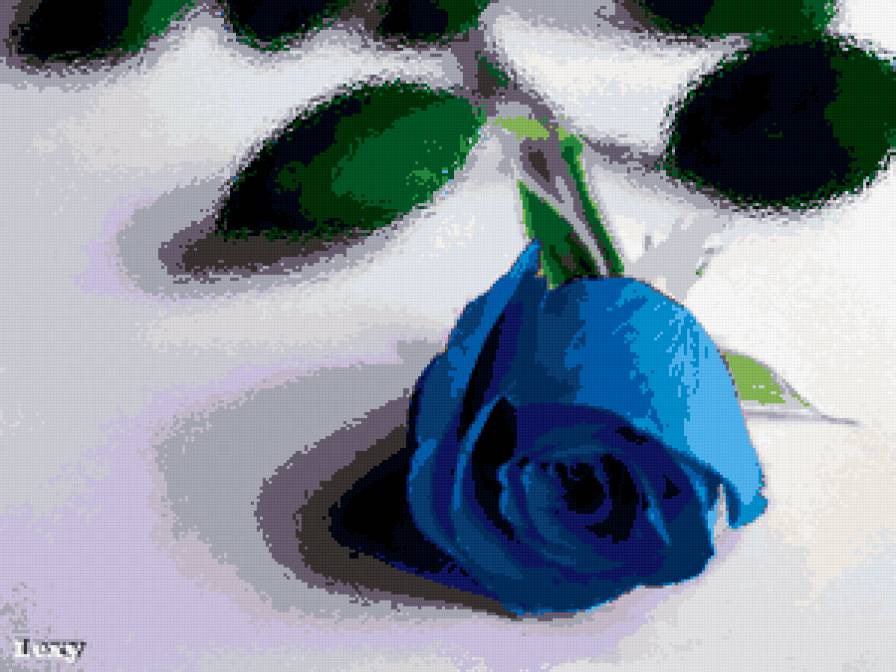 Синяя роза - предпросмотр