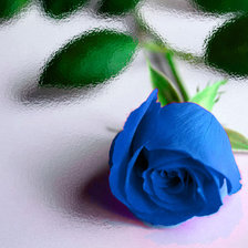 Оригинал схемы вышивки «Синяя роза» (№418487)
