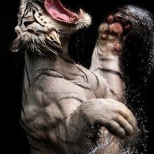 Схема вышивки «№418875»