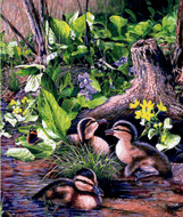 0131 - природа, лето, красота, птицы, утки, картина - предпросмотр