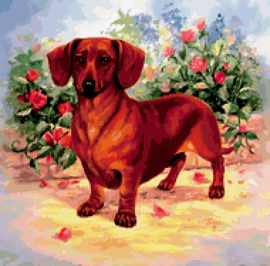 0133 - собака, животные, цветы, лето, собаки, природа, картина, красота - предпросмотр