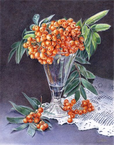 рябина - оригинал