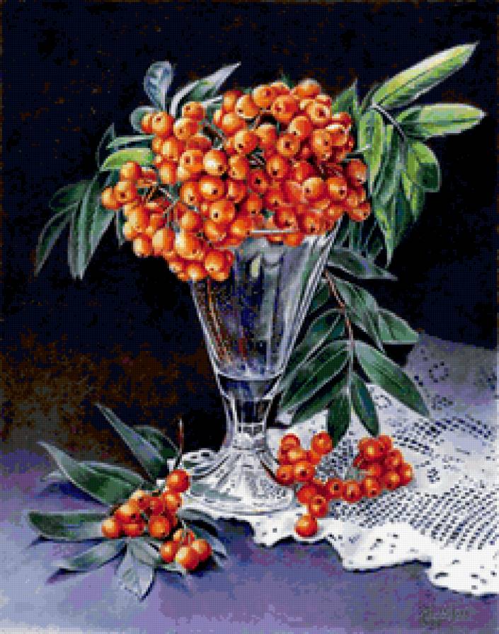 рябина - предпросмотр