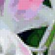 Предпросмотр схемы вышивки «Цветы» (№419230)
