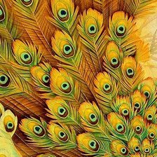 Схема вышивки «Перья»