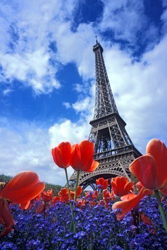 Париж - весна, париж, эйфелева башня - оригинал