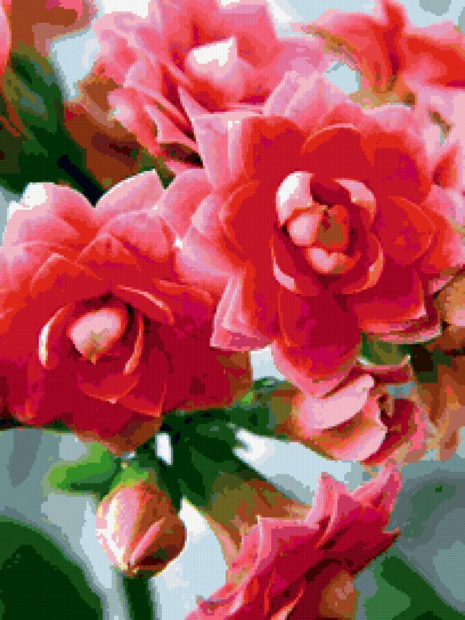 Цветы - цветы - предпросмотр