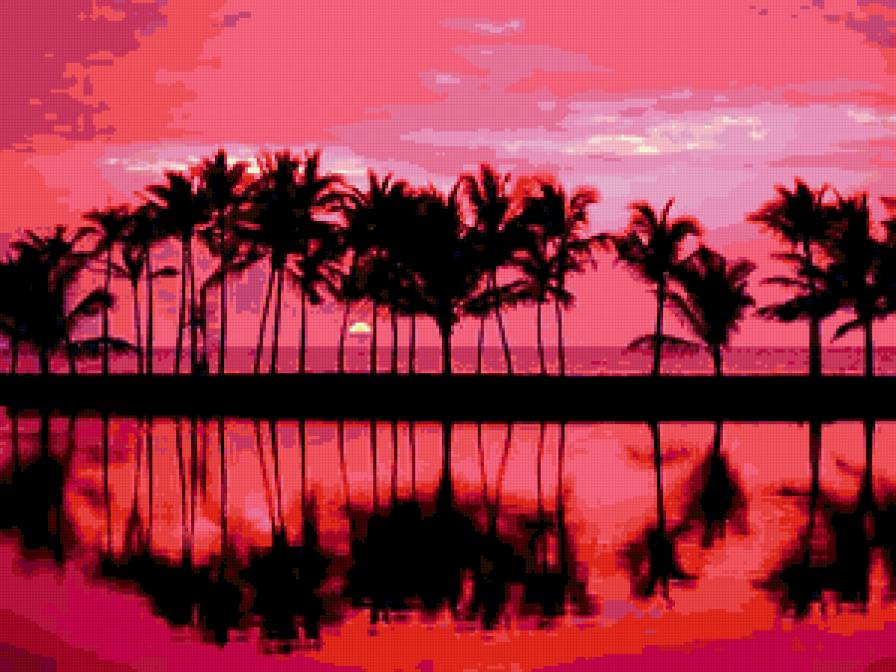 №419254 - пейзаж, пальмы, деревья, природа, море - предпросмотр