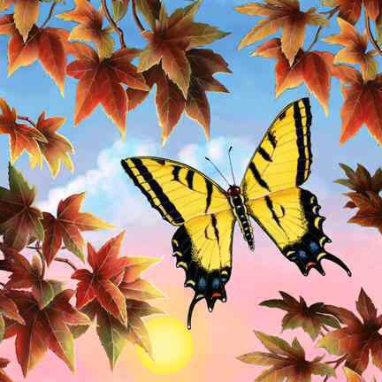 №419286 - оригинал