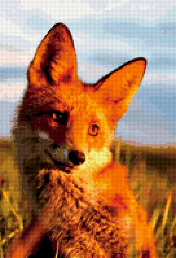 Лисёнок - животные - предпросмотр