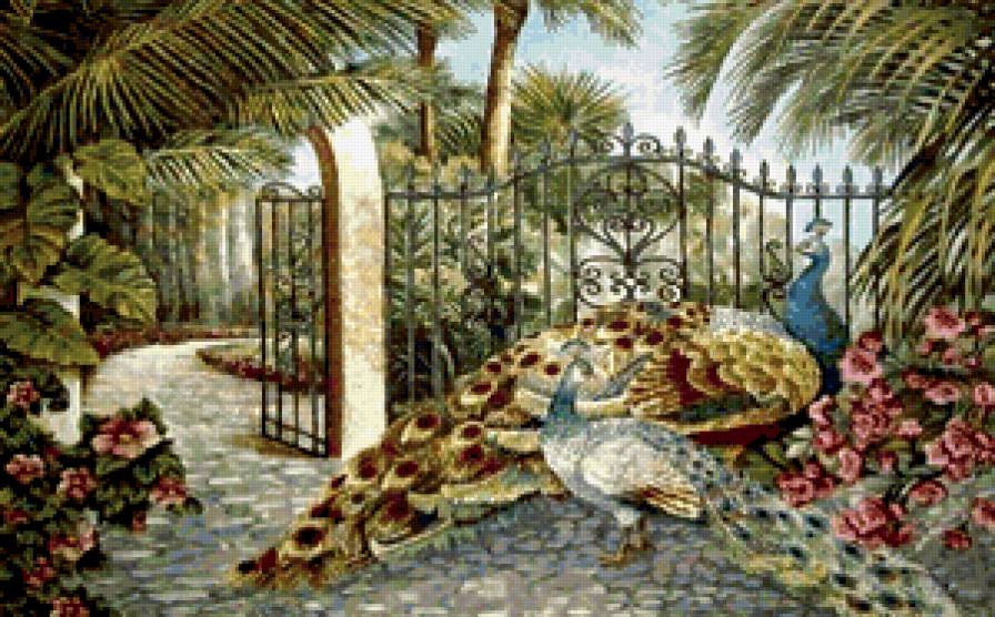 Павлины в саду - сад, птица, павлин - предпросмотр