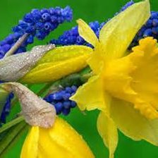 Схема вышивки «Ассорти цветов»