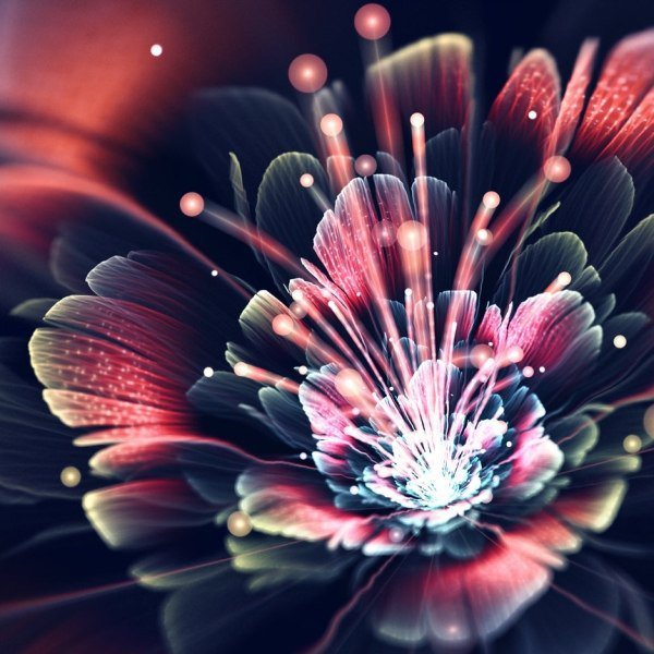 Цветок - цветок - оригинал