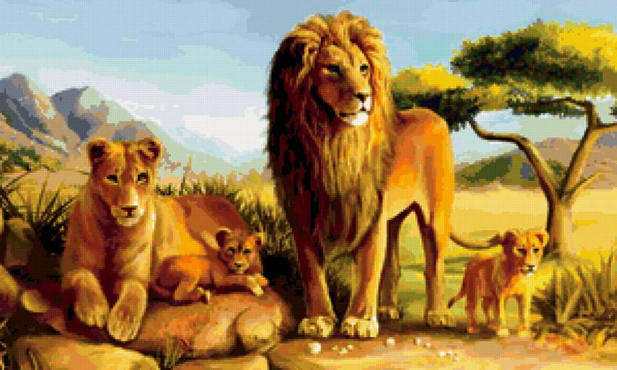 Семейка львов - львы, животные - предпросмотр