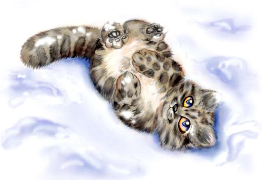 красивая малышка - милашка.лапушка, котенок, барс, взгляд, снег, хищник - оригинал