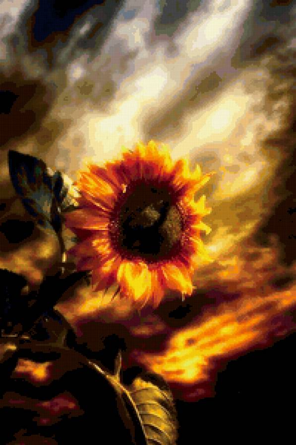 подсолнух - цветы, закат, солнечный свет - предпросмотр