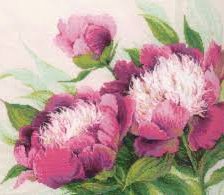 Схема вышивки «пионы»