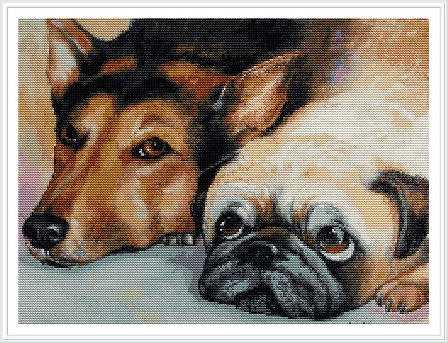 друзья - собаки - оригинал