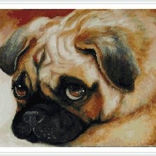 Схема вышивки «щенок»