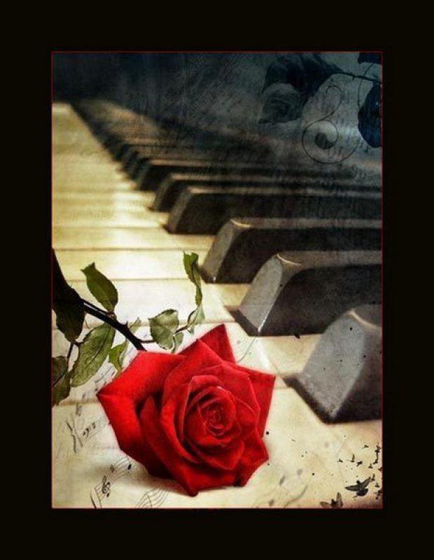 музыка - розы, инструмент, музыка, цветы - оригинал