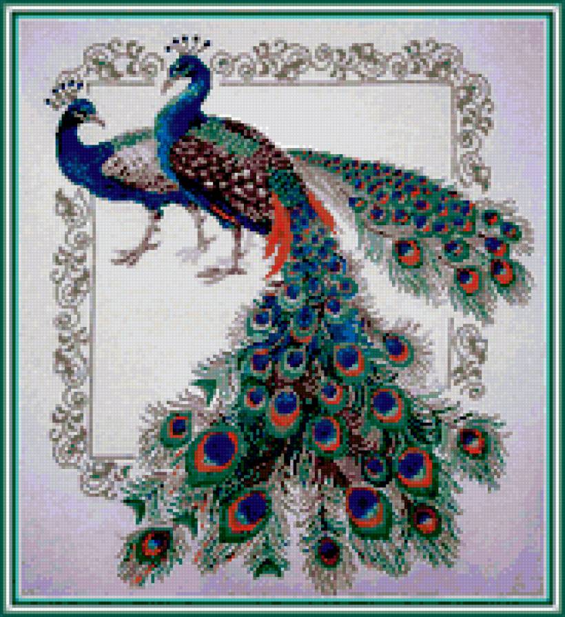 два павлина - предпросмотр