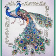 Схема вышивки «два павлина»