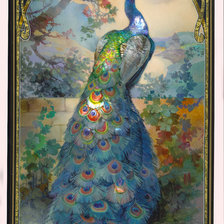 Схема вышивки «Павлин»