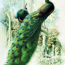 Схема вышивки «нежные павлины»