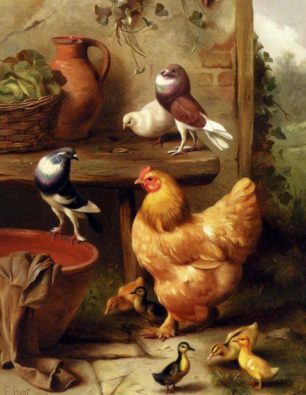 На птичьем дворе - птицы - оригинал