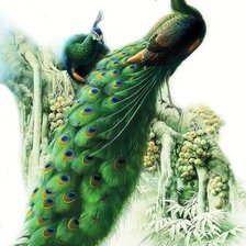 Схема вышивки «нежные павлины 2»